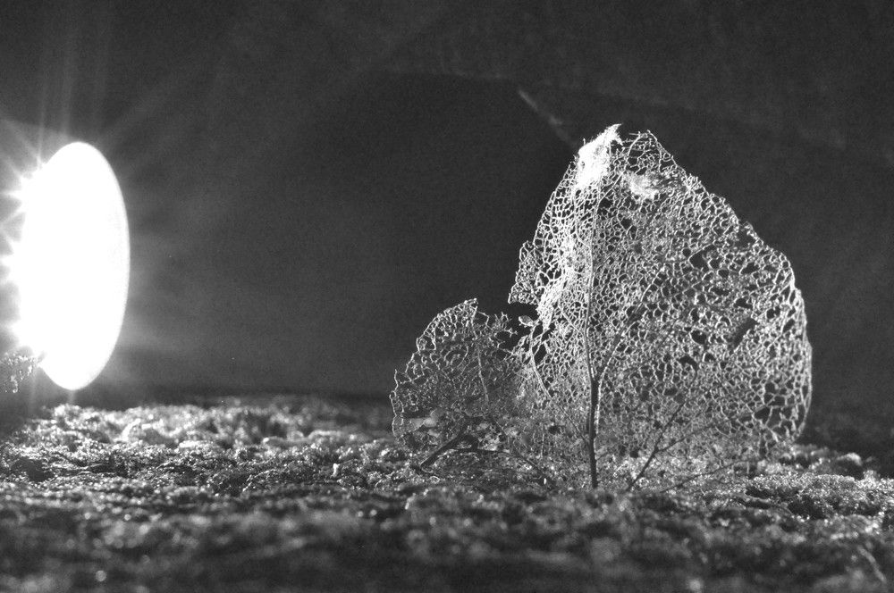 Съемочная площадки