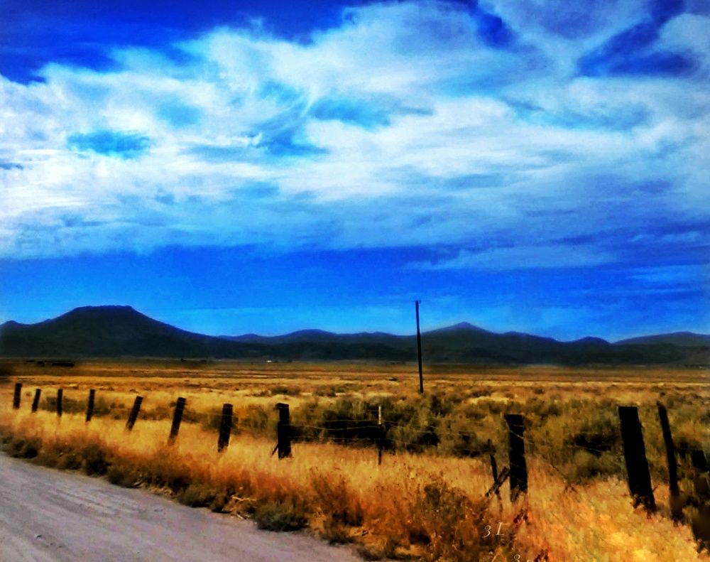 The Fence