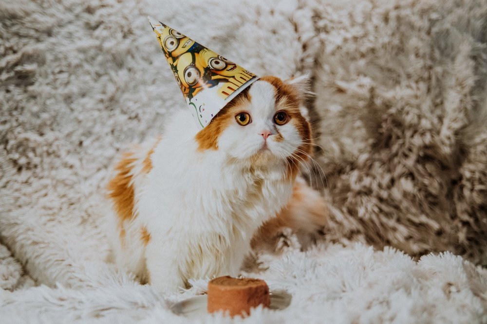 Photograph by Yuliia