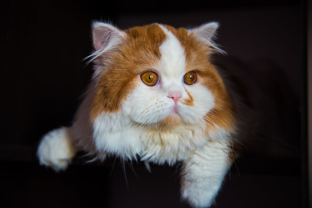 Photograph by Yuliia