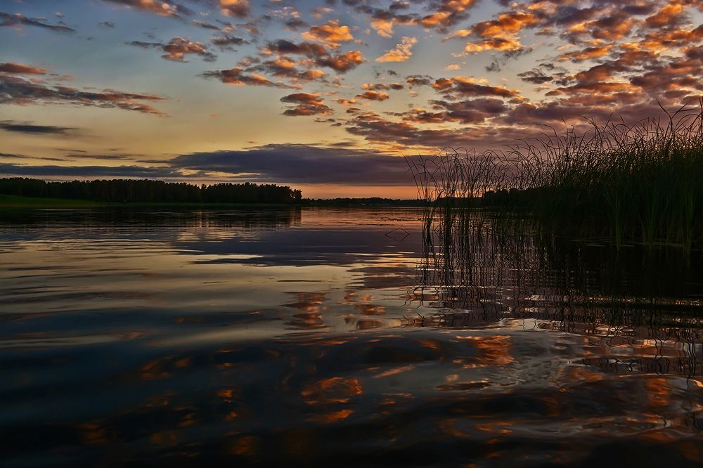 Расплескавшееся солнце