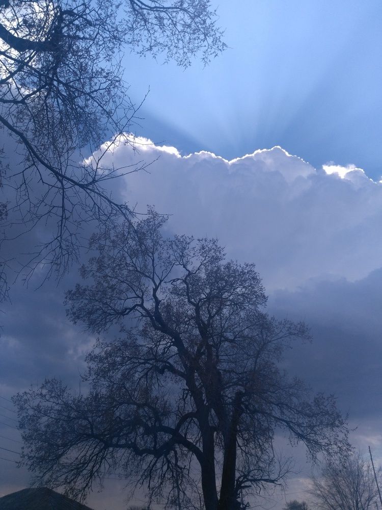 Photo #2564148