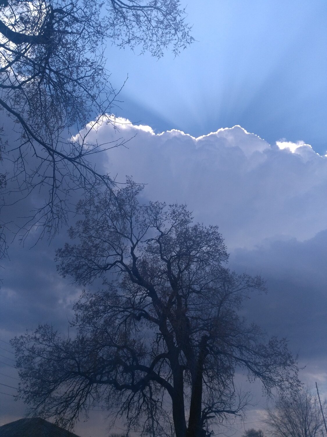 Photo #2564148
