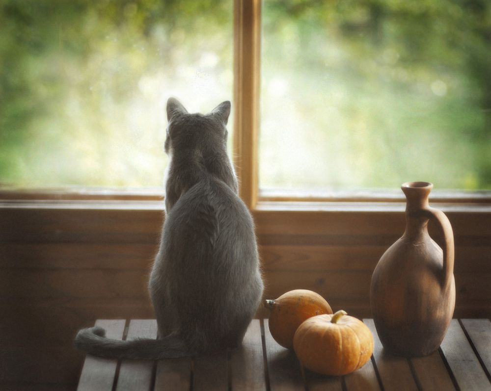 Photograph by Диана Джем