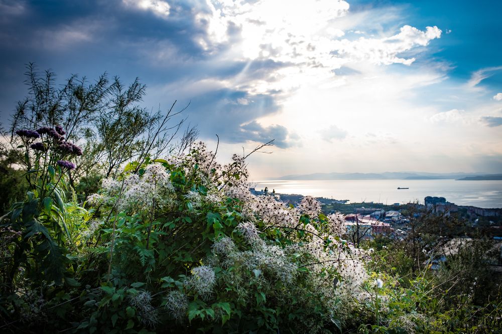 Перед грозой