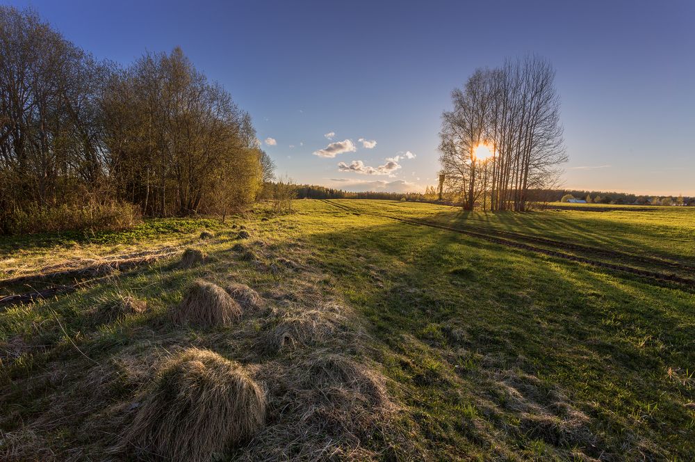 Весенний вечер