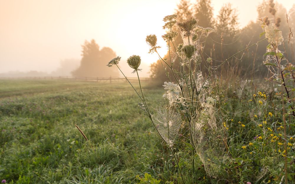 Дыханье осени