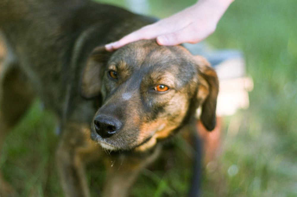 Photograph by Ефимова Анна