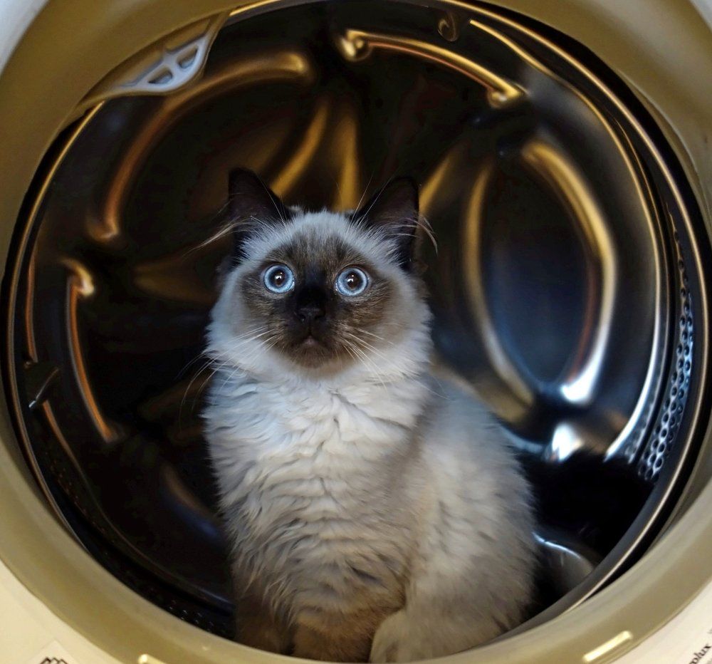 Земля в иллюминаторе или Марсик летит на Марс...