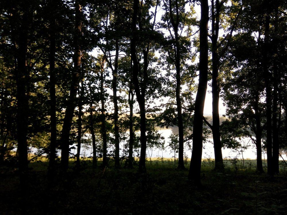 Photo #2564804