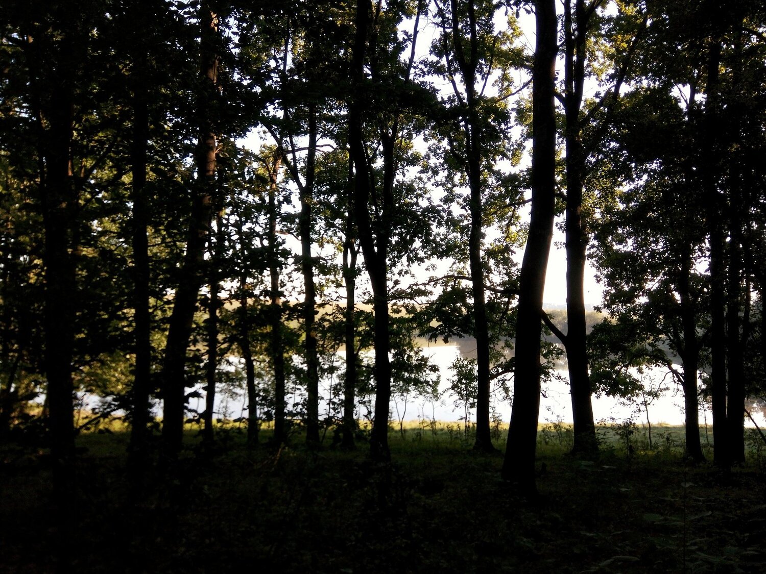 Photo #2564804