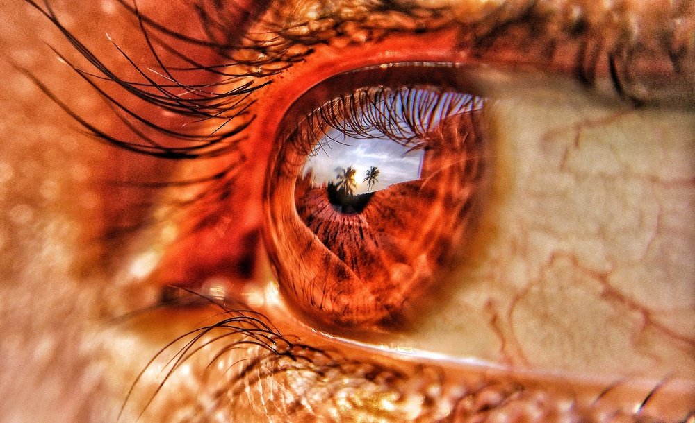 Reflection.