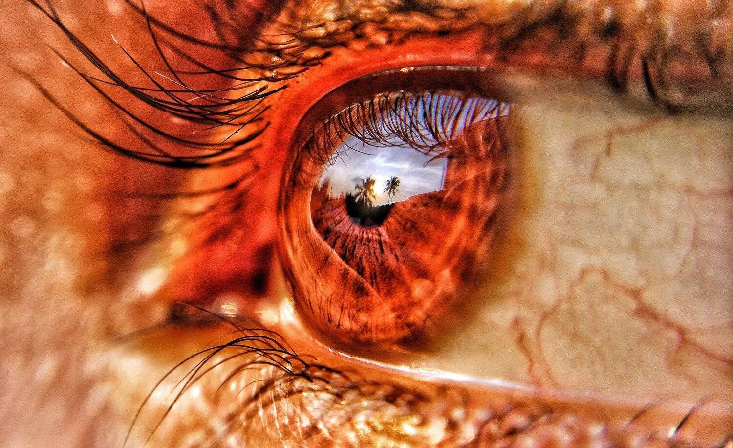 Reflection.