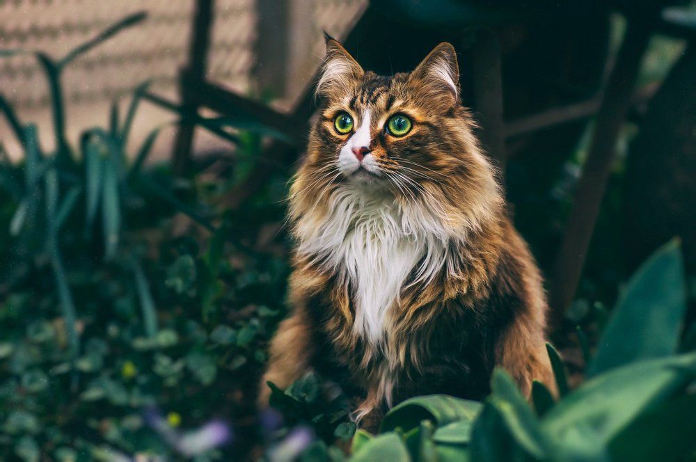 Photograph by Тараненко Анжелика