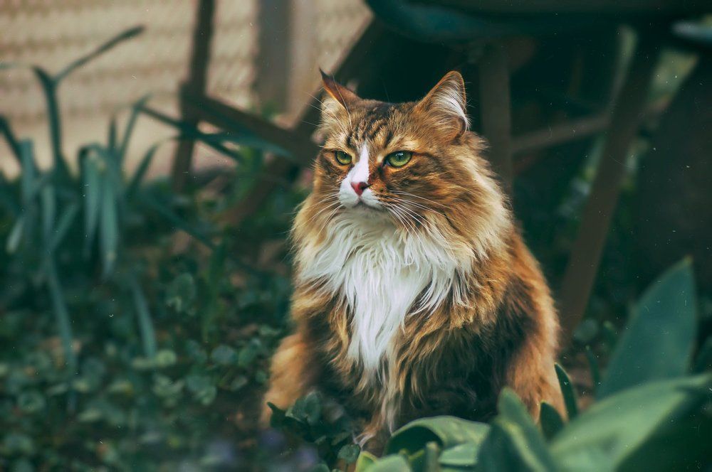 Photograph by Тараненко Анжелика