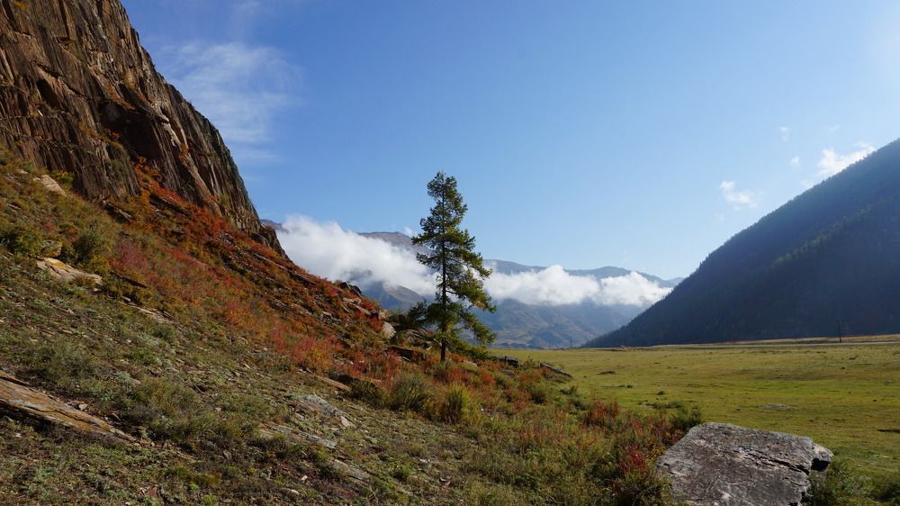 Фотография автора Елена Фролова