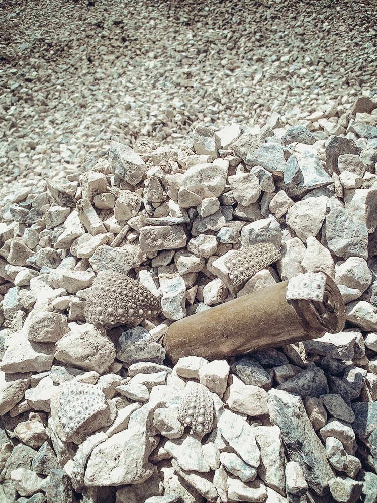 Морской бой.