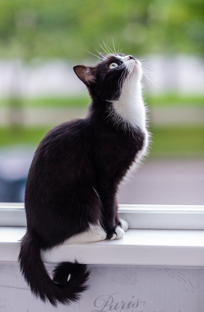 А птичка то там!