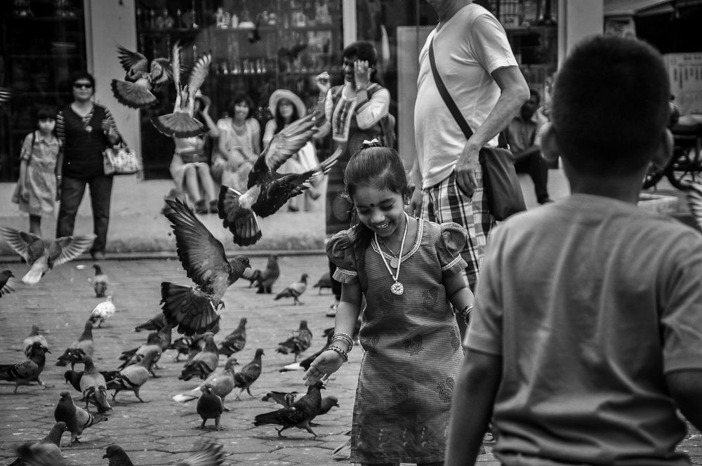 The Pigeon Whisperer