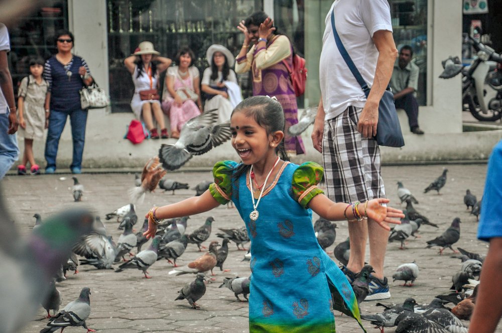 The Pigeon Whisperer