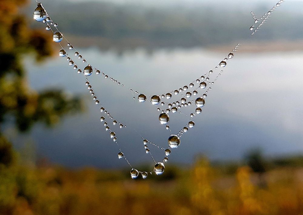 Осеннее ожерелье для реки Вятки