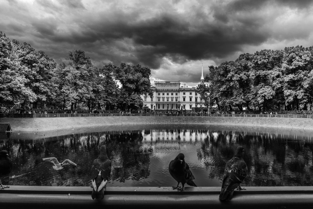 В ожидании дождя