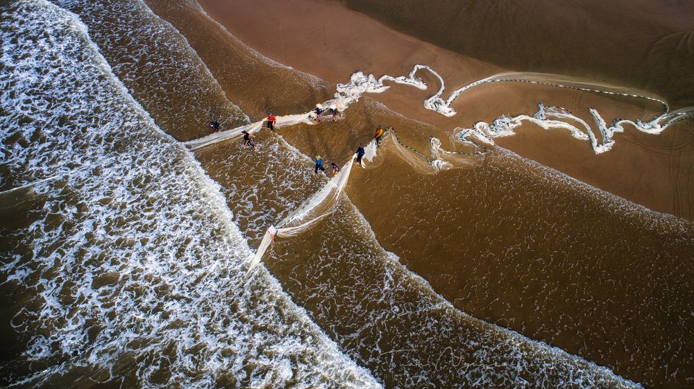 Drag nets along each wave
