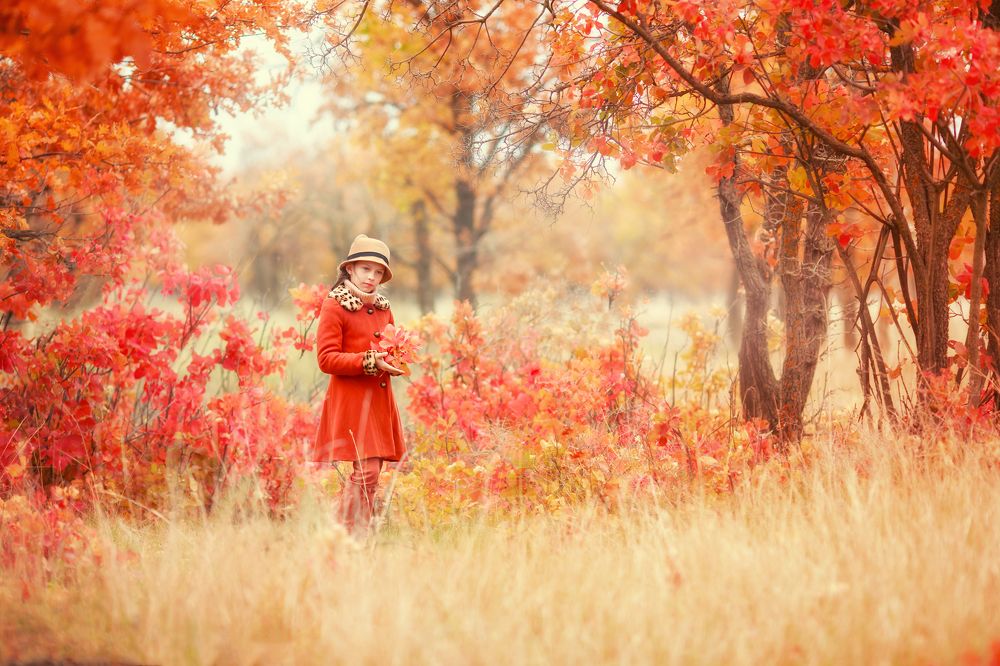 Краски осени