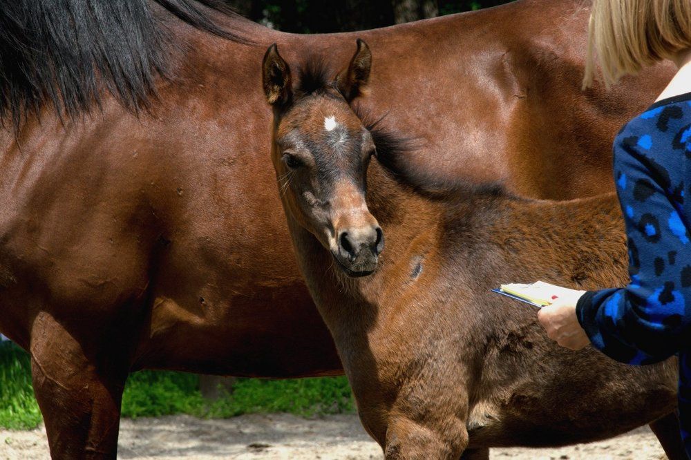 Я вас слушаю.....