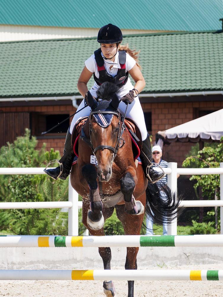Лошадь человеку крылья