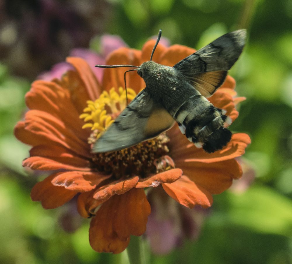 Завправка в воздухе
