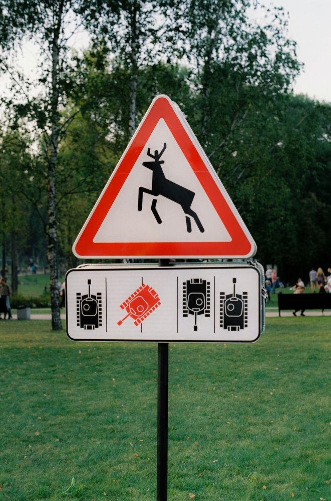 Warning! Deer...