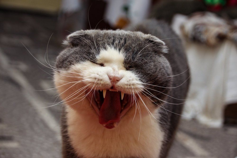 Photograph by Ефимова Анна