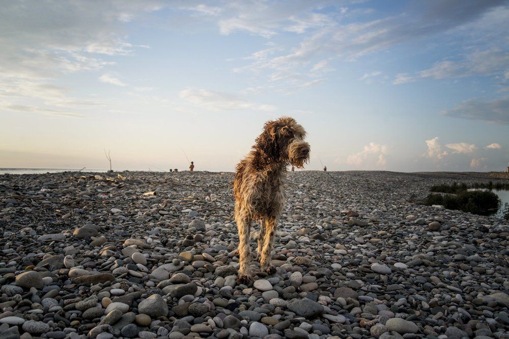 Photograph by Christina Panteleeva