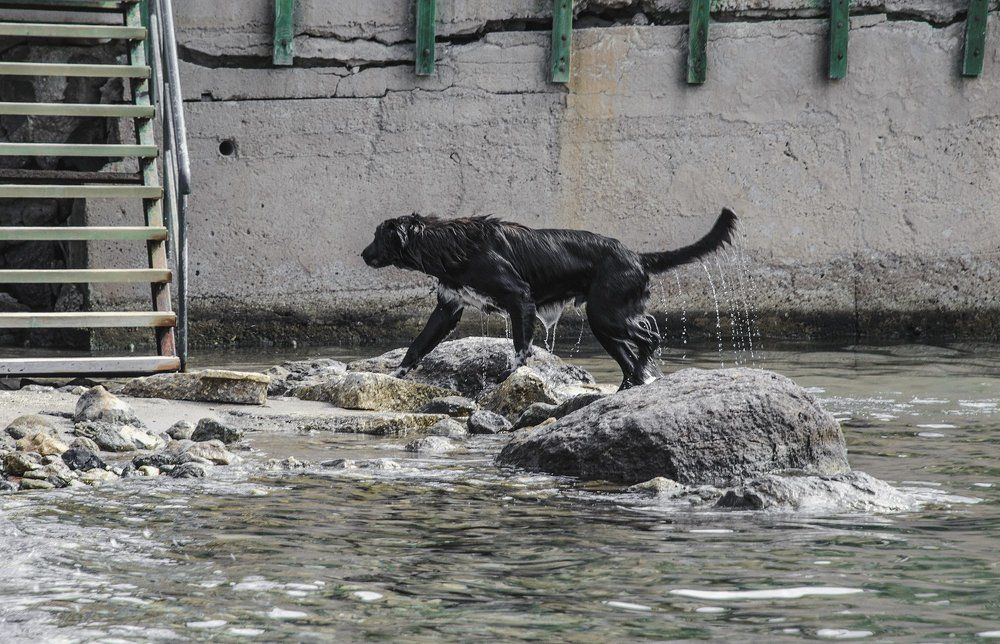 Изрядно накупавшись