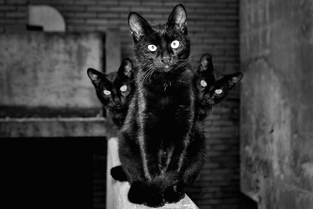 My grandmother's street