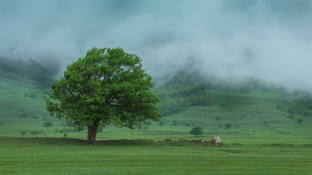 Clouds on Teberda's valley