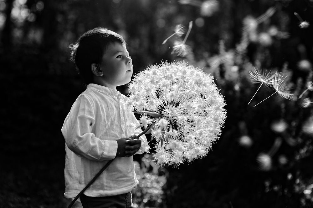 Photograph by Юлия