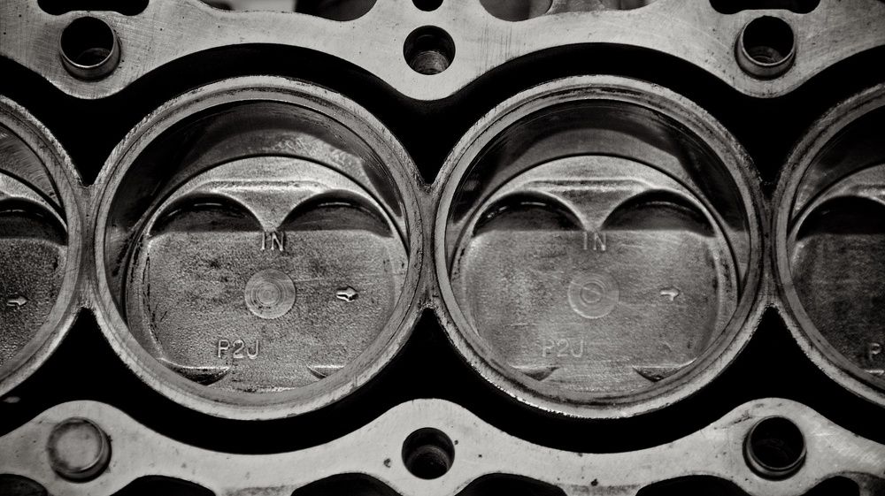 Застывший табун