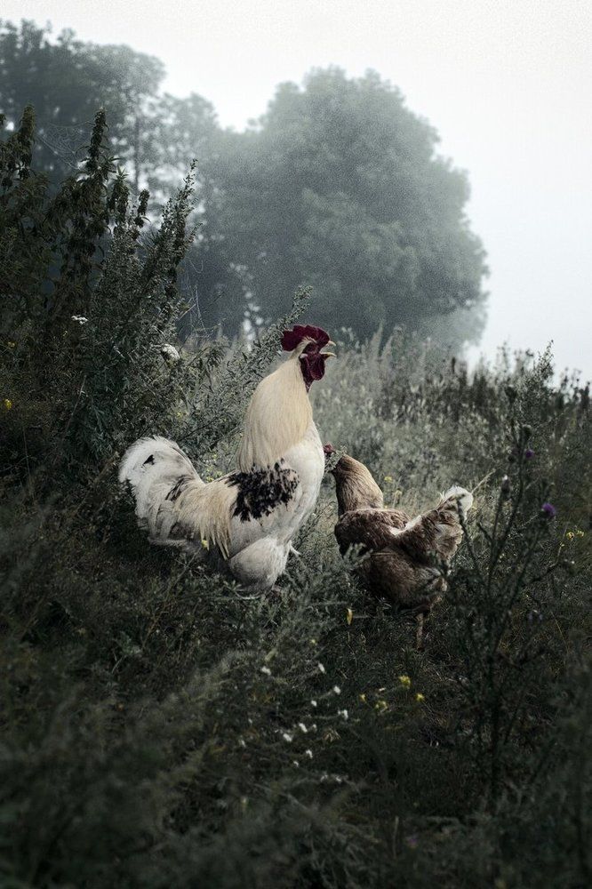 Первое свидание