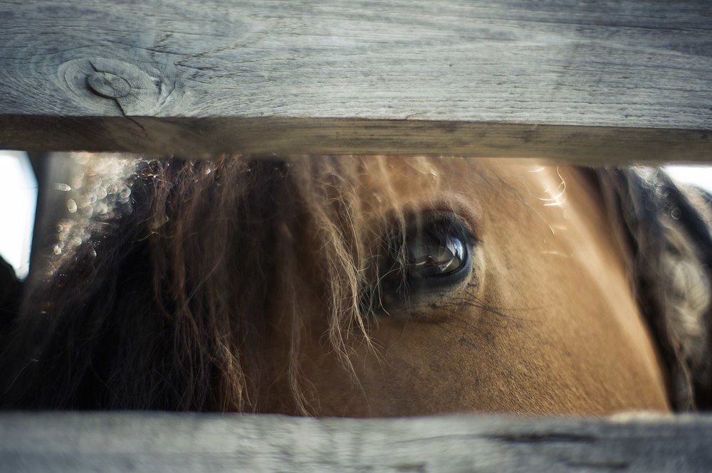 Взгляд на жизнь