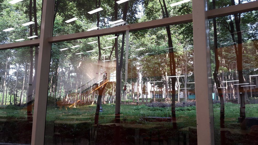 View across the glass