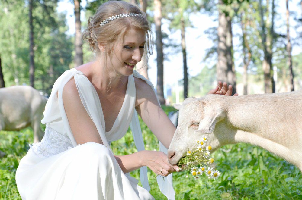 Букет невесты