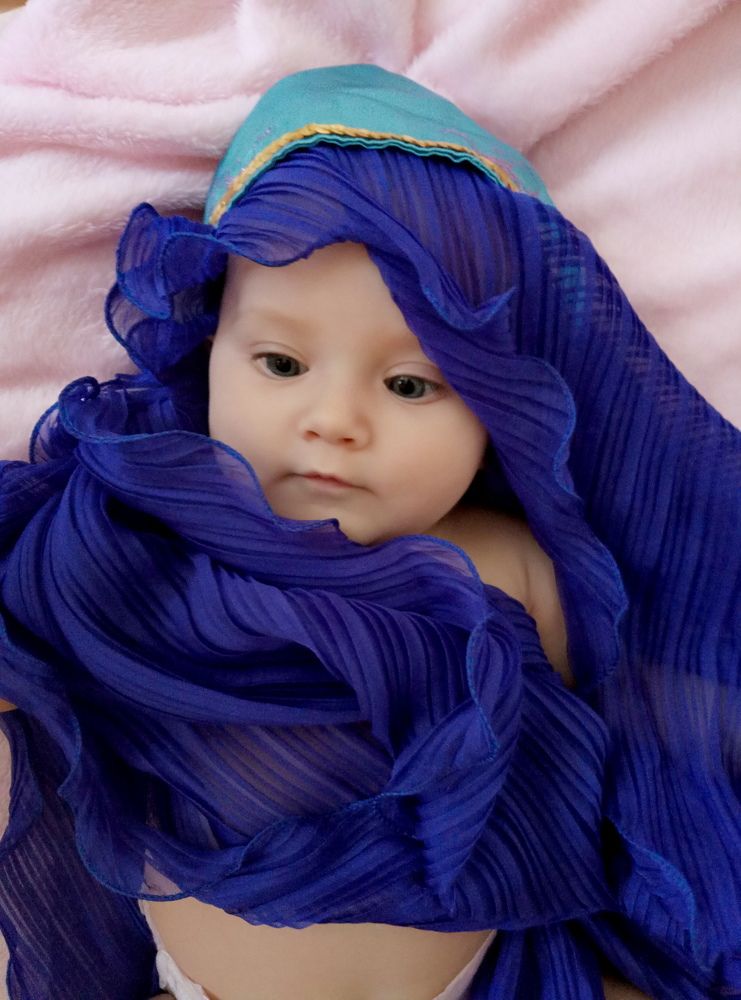 Photo #2566426
