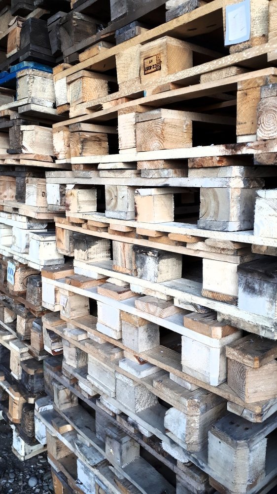 Photograph by Кадырова Анастасия