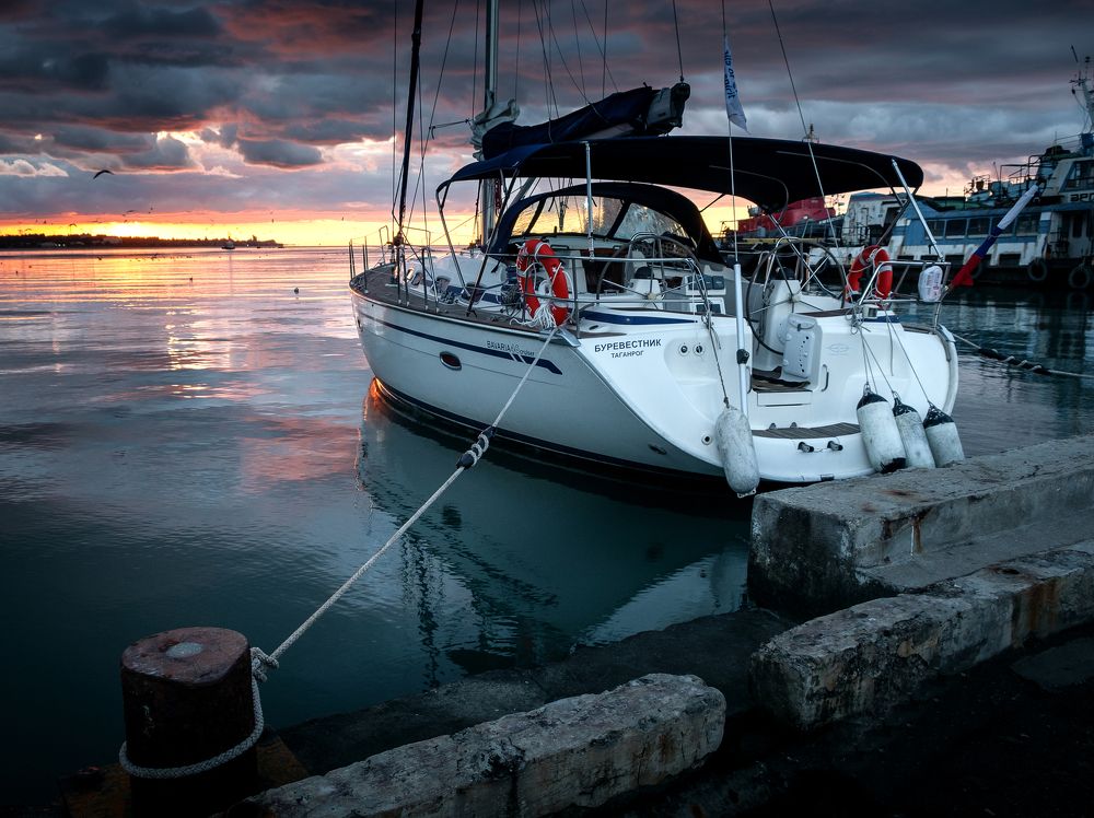 Буревестник.