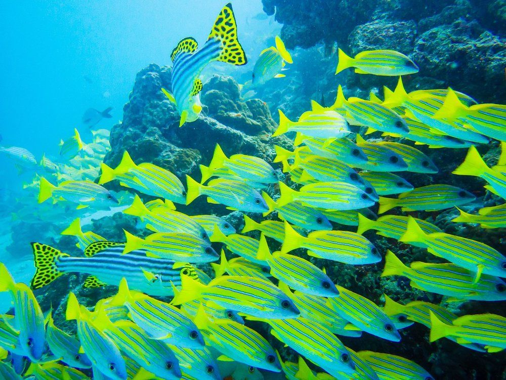 Photograph by Babka Yoshka (в миру - Сергей)