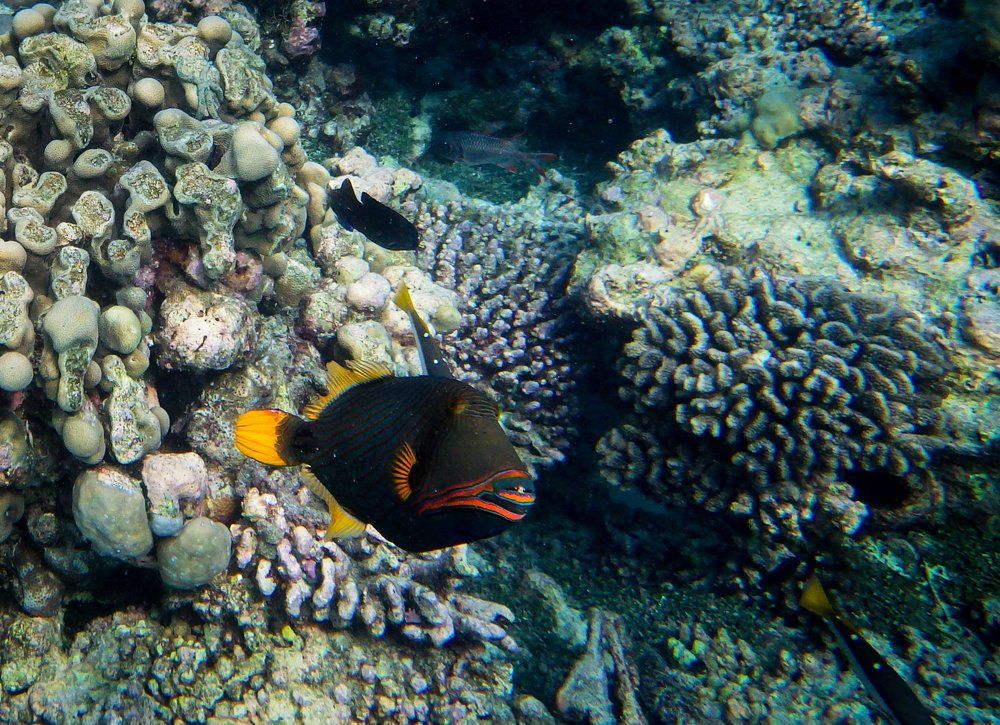 Photograph by Babka Yoshka (в миру - Сергей)