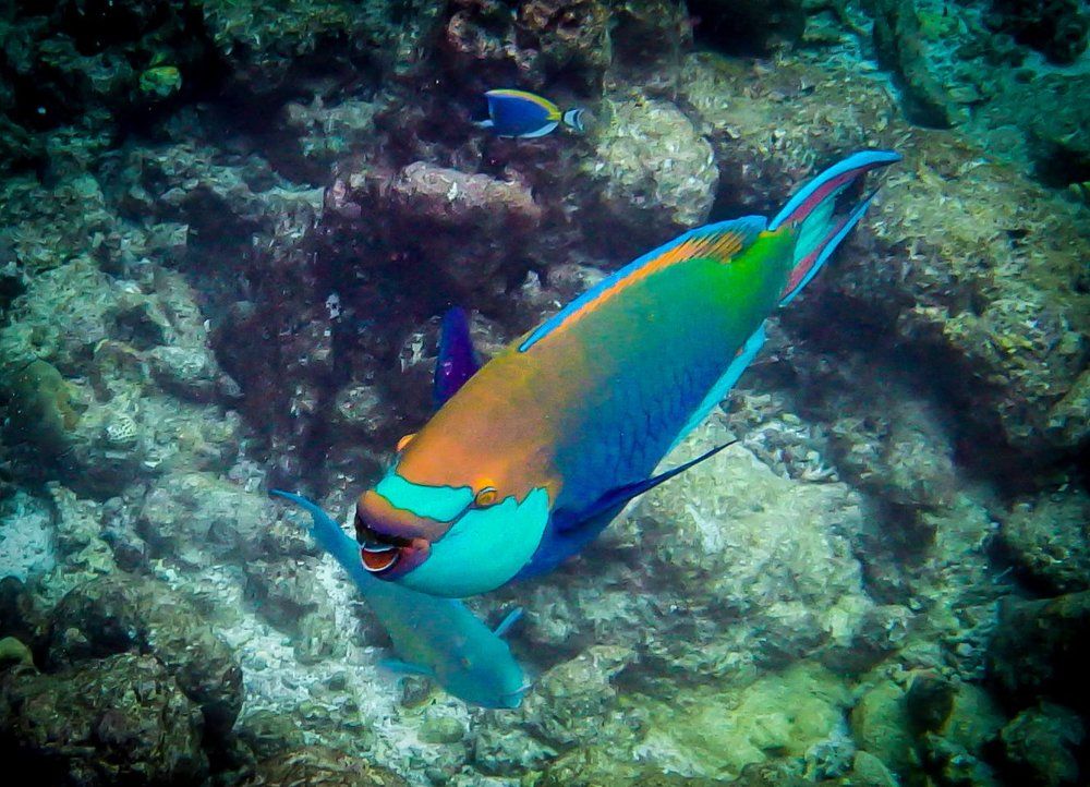 Photograph by Babka Yoshka (в миру - Сергей)