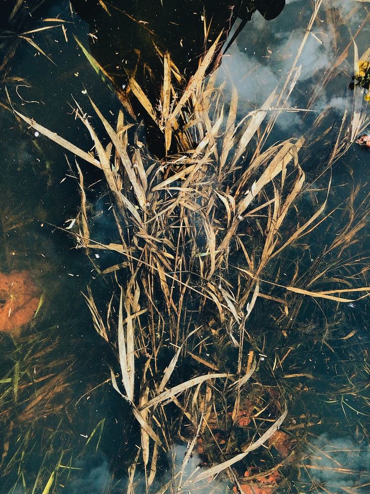 Photograph by Богомолова Александра